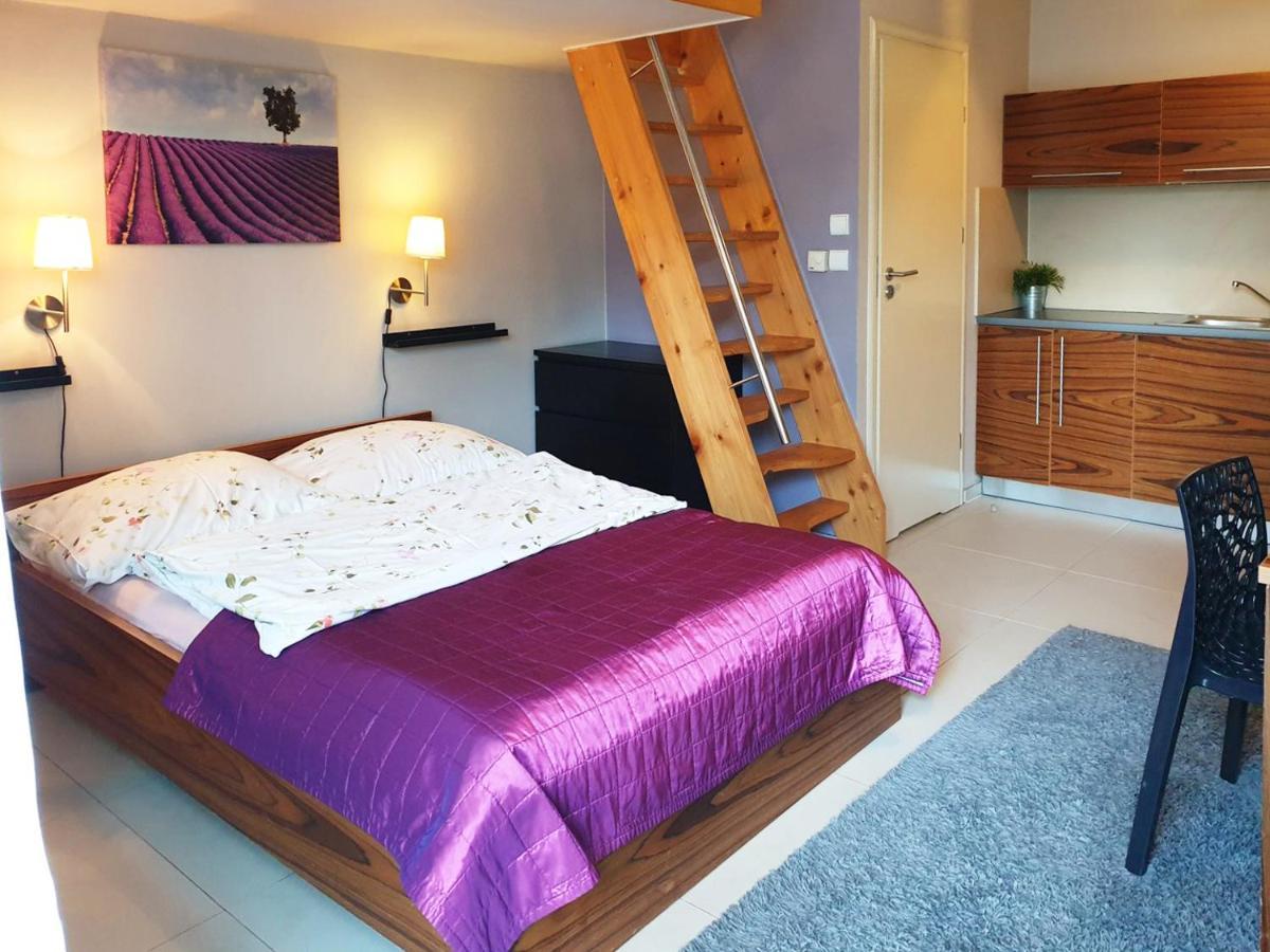 Apartamenty Brzozowa - Centrum Zakopane Luaran gambar